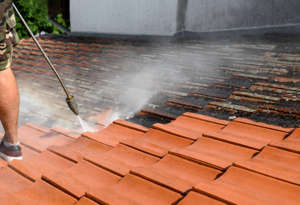 Best Roof Pressure Washing  in Fordoche, LA